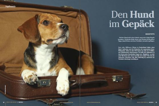 Den Hund im Gepäck
